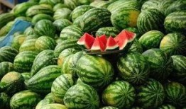 苏州网红吃瓜事件,一场网络舆论的风暴与反思